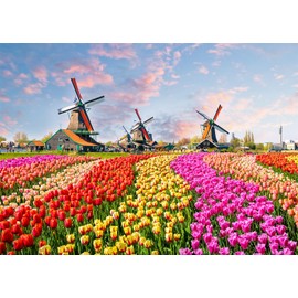Loccor Fabric 5x3ft Charming Netherlands Scenery Backdrop Dutch Holland Colorful Tulip Flowers Field Photography Background Outdoor Travel Newlyweds Honeymoon Portraits Child Kids Adult Photo Props