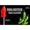 Flamethrower Candy Co Toe of Satan Lollipop Two Pack Caroline
