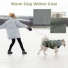FePen Dog Coat for Small Dogs, Dog Jacket for Small