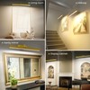 Picture Lights for Wall, Battery Operated Picture Light 24in Gallery