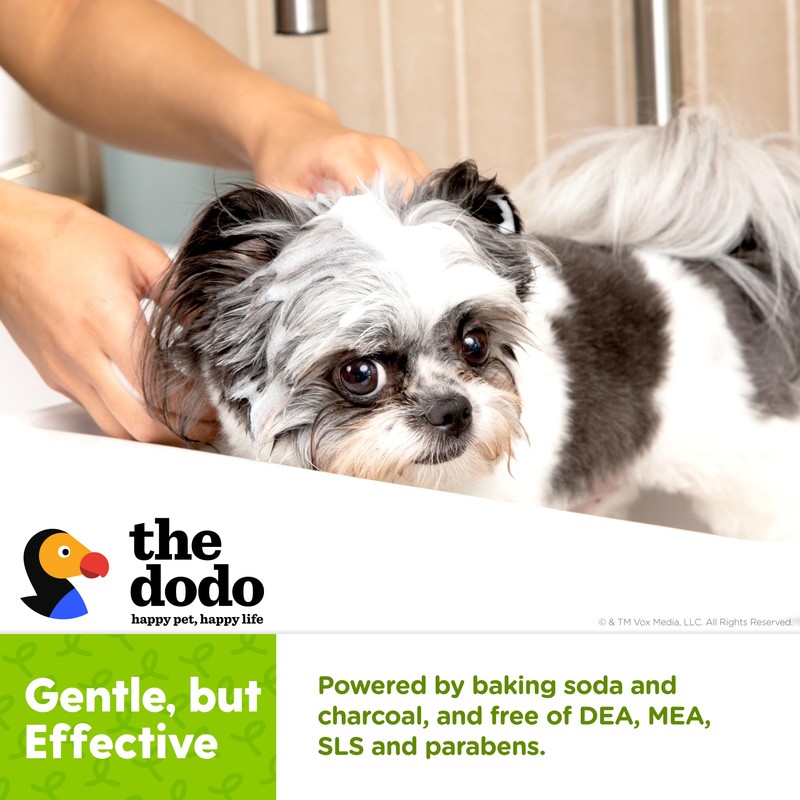 The Dodo Tearless Deodorizing Shampoo for Dogs, Summer Citrus with