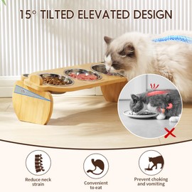 Polarduck Upgraded Elevated Cat Bowls with Food Mat: Raised Pet Food and Water Dishes for Cats with 15°Tilted Little Monster Bamboo Stand, 3 Stainless Steel Bowls and 1 Non-Slip Feeding Mat