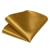 DiBanGu Self Tied Bow Tie for Men Gold Bowtie for