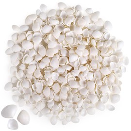 PPCLION 600 Pcs Natural Tiny Small Sea Shells White Clam Shells for DIY Craft, Jewelry Making, Home Decor, Vase Fillers