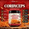 Hongo Cordyceps - Extracto Puro en Polvo 100 g -
