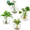 DomeStar 4PCS Wall Vases, Wall Mounted Hanging Glass Vases Clear