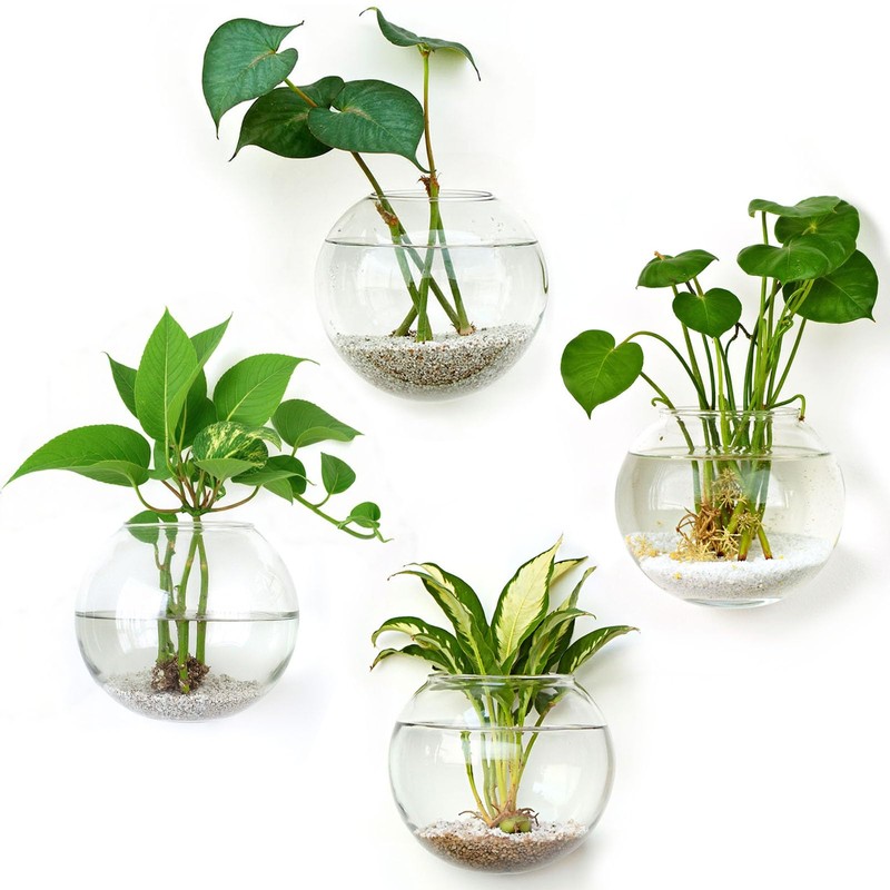 DomeStar 4PCS Wall Vases, Wall Mounted Hanging Glass Vases Clear