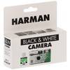Ilford HP5 + Einwegkamera mit Blitz, Weiß und Schwarz