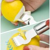 PHIEZC 2 Pack Peeler, Lemon Peeler and Orange Peeler, Stainless