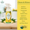 Absolute Green All Purpose Cleaner Spray, Non-Toxic, Kitchen, Bath, Countertop,
