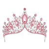 IRYCSSCE birthday princess pink crown for women