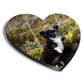 1 x Heart MDF Magnets - Chihuahua Puppy Black & White Dog 44582
