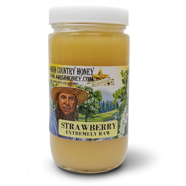 Goshen Honey Amish Extremely Raw STRAWBERRY Blossom Honey 100% Natural Honey Health Benefits Unfiltered OU Kosher Certified | 1 Lb Glass Jar