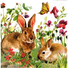 (2) Two Paper Lunch Napkins for Decoupage/Mixe