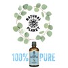 Natural Planet Eucalyptus Essential Oil Therapeutic Grade Pure, 100% Pure