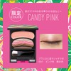 Orb Brush One Coat Shadow N EX1 Pink Eye Shadow