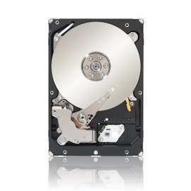 Seagate Constellation ES 7200 1TB interne Festplatte (8,9 cm (3,5 Zoll)7200rpm, 64MB cache, SATA 6Gb/s) schwarz