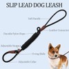 MayPaw Slip Lead Control Leash for Dogs No Pull, 13+