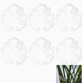 DELORIGIN Pack of 6 Monstera Grappler Transparent Plant Support Plant Holder for Monstera Leaves Hollow Plant Support Ring Made of Acrylic for Plants for Organising Leaves Holds Plants