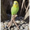 Vivid Arts - Budgies Garden Ornament Bird Sculpture (Budgie, Green)