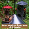 Qualirey Squirrel Baffle for Bird Feeder Bird House Guard Stopper