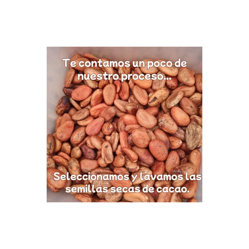 Cacao En Grano Tostado Artesanal Tradicional 500g