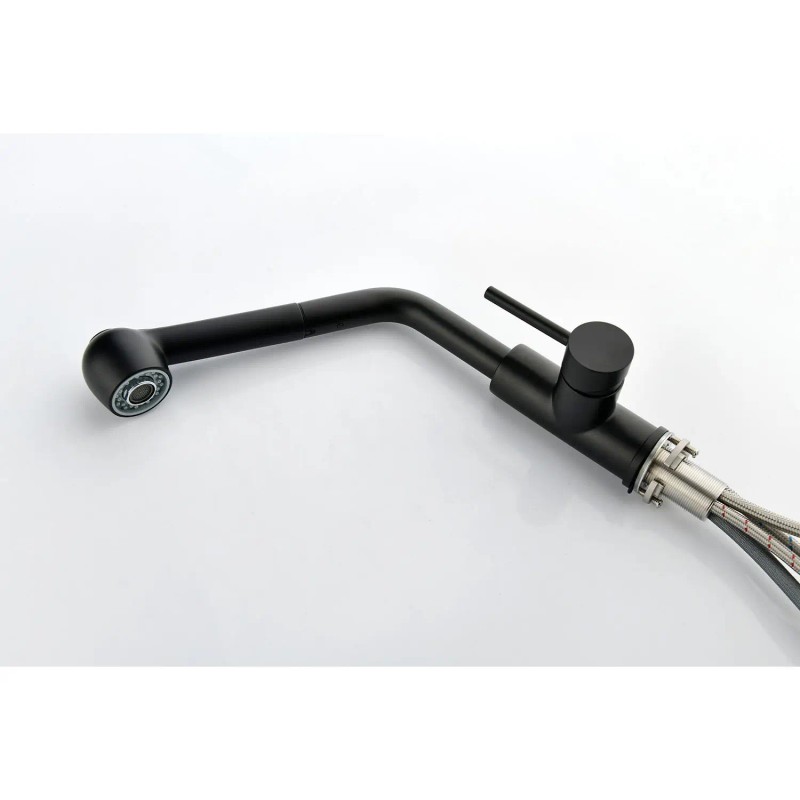 Single Handle Pull Out Sprayer Kitchen Sink Faucet Model D0100H5EBEXColor: