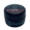 Palms Graceful Color Gel 3g 090 Clear Cinnamon