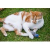 Petface (Catkins by Petface) Dudley Duck Cat Toy