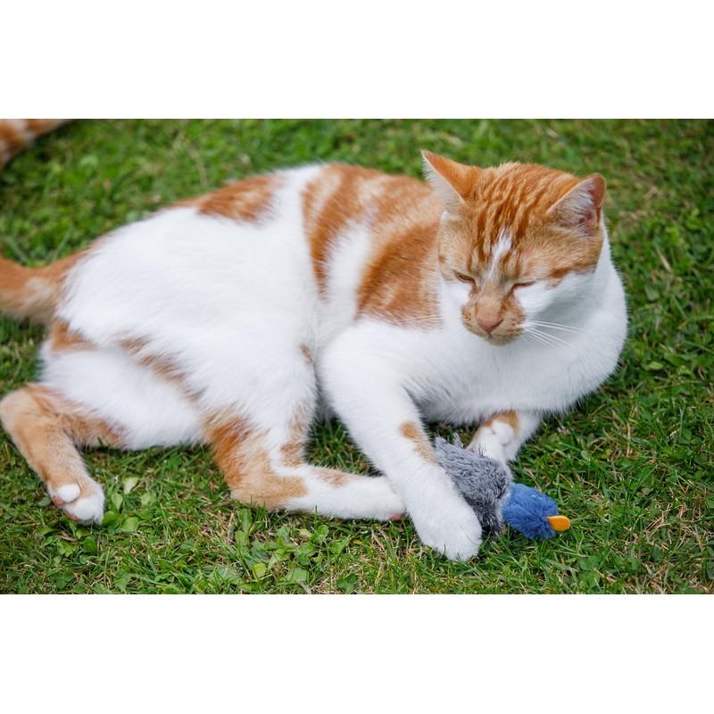 Petface (Catkins by Petface) Dudley Duck Cat Toy