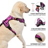 NESTROAD Rose Red Dog Vest Harness, No Pull Adjustable Harness