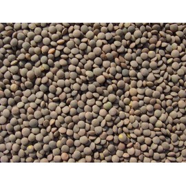 Lentils 20 Lbs, Joseph's Grainery Brown Lentils, All Natural, Non-GMO, Kosher Certified