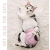 Stretchy Disposable Diapers - 10 Pcs Leak-Proof Pull-ups for Cats