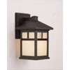 Forte Lighting 1773-01-04 Exterior Wall Light with Honey Glass Shades,