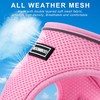 Dog Harness with Leash Set, No Pull Adjustable Reflective Step-in