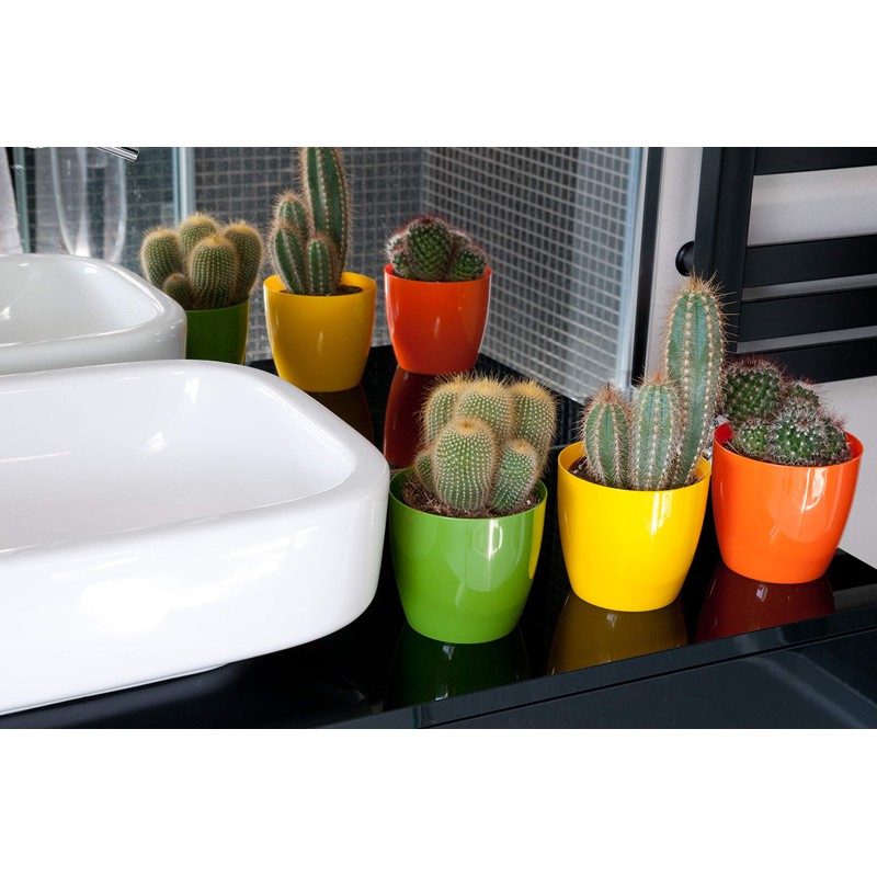 Tymar Pack of 2 Round Shape Planter (Green, Diameter 12