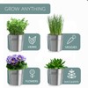 Barnyard Designs Indoor Herb Garden Planter Set with Tray, Metal