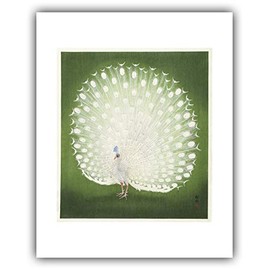 The Ibis - Ohara Koson : ''Peacock'' (1925-1936) - Museum-Grade Giclee