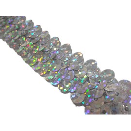 No.1910_Handicraft Sequin Blade with Glitter Silver (Silver) Width 2cm x 2m Roll Sequins Sequin