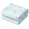 Simple Fresh Smooth Cotton Gauze Bed Pad, Single (Blue), 39.4