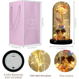 Kit de Rosas,Rosa con Luz LED,Rosa Artificial Colorida para Siempre,Elegante Cúpula de Cristal,romántico Regalo para Novia,San Valentín,Aniversario, Día de la Madre y Cumpleaños (Vistoso)