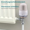 Wengart Thermostatic Radiator Head, M30x1.5, Heating System Temperature Control Head,
