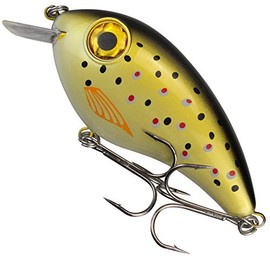 Fishing Tackle Max Unisex - Adult 10C8900175C10 FTM PIKEBOMB Wobbler Colour: Trout 10 cm/44g from the Seika Pr Program, Colourful, Normal