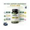 Suplemento Nad 1500 Resveratrol Urolitina Coq10 Quercetina Plus Energía Celular