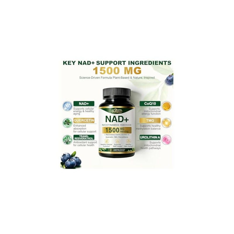 Suplemento Nad 1500 Resveratrol Urolitina Coq10 Quercetina Plus Energía Celular