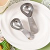 2Pcs Coffee Scoop,Silver Stainless Coffee Scoop,Measuring Spoon with Short Handle
