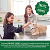 Greenies Feline SMARTBITES Healthy Skin and Fur, Chicken & Salmon
