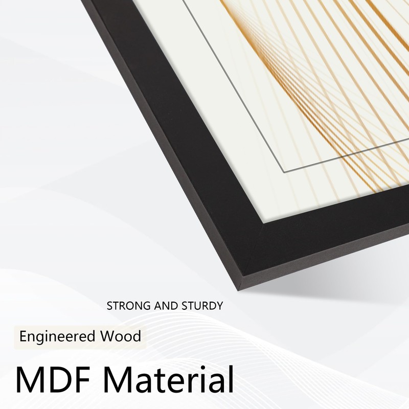 8.5x11 Picture Frame set of 6, Multi Certificate 8.5 by