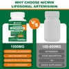 NICMIN Liposomal Artemisinin Supplement 1000mg, Sweet Wormwood Extract with 200mg