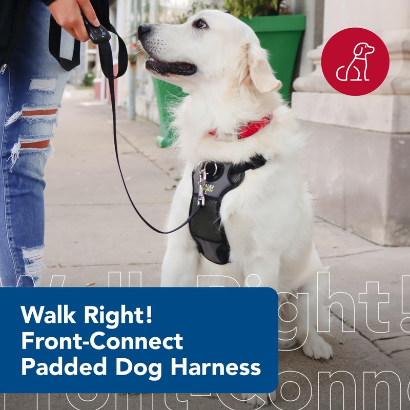 Coastal Pet Walk Right Front-Connect No-Pull Padded Dog Harness -